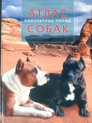 АТЛАС ПОРОД СОБАК | УКРАЇНСЬКЕ ТОВАРИСТВО МИСЛИВЦІВ І РИБАЛОК