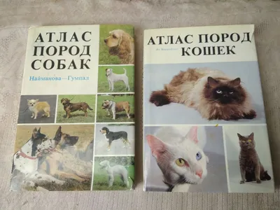 Атлас популярных пород собак. 2002г. — купить в интернет-магазине по низкой  цене на Яндекс Маркете