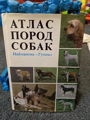 Малый атлас пород собак, отличное состояние, мелованая... купить в  Хабаровске с доставкой | Авито