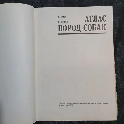 ДОМАШНИЕ ПИТОМЦЫ. СОБАКИ. АТЛАС купить в Минске, цена