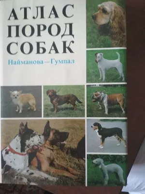 Книга Собаки.История.Мифы и легенды.Искусство.Атлас пород С.Раделов, язык  Русский, книга купить на Bookovka.ua