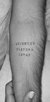 Audentes Fortuna Iuvat | Ideias de tatuagens, Tatuagens, Tatoo