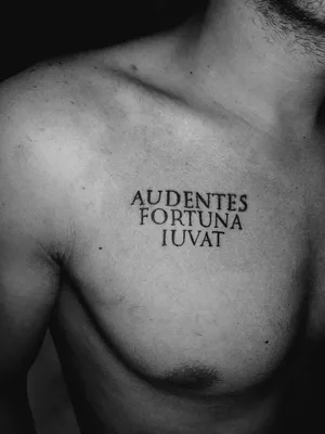 Pin di Jame PRDX su audentes fortuna iuvat tattoo 2018 | Idee per tatuaggi,  Tatuaggi, Idee