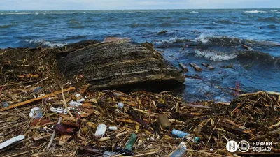 Вид С Воздуха На Паром Плывущий Ночью В Тумане На Море — стоковые  фотографии и другие картинки Аварии и катастрофы - iStock