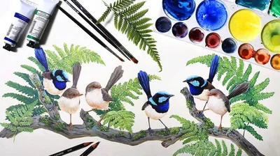 Ширли Барбер - Австралийские птицы: Описание произведения | Артхив