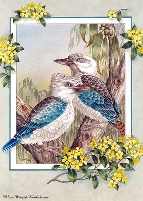 белые и желтые попугаи сидят на ветке, австралийские птицы кореллы, Hd  фотография фото, птица фон картинки и Фото для бесплатной загрузки