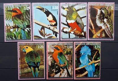 Купить посуду коллекции «Птицы Австралии (Birds of Australia)» в магазине  посуды