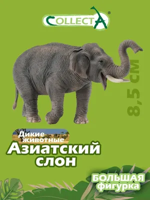 Азиатский слон, детеныш, schleich 14755 14755 купить по низкой цене в  интернет-магазине МаМаМа.РФ