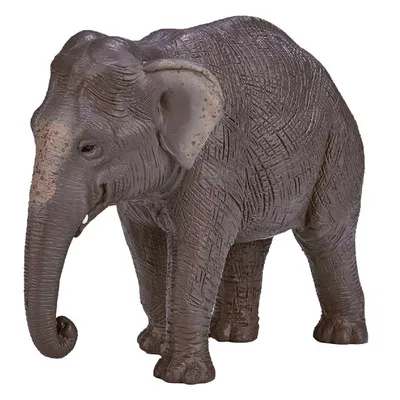Фигурка животного Азиатский слон Collecta 2944773 купить за 473 ₽ в  интернет-магазине Wildberries