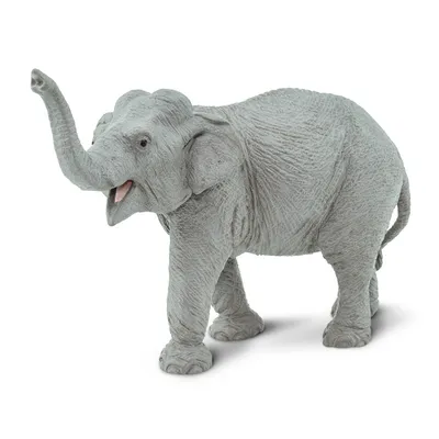 Фигурка животного Детское Время Азиатский слон купить по цене 718 ₽ в  интернет-магазине Детский мир