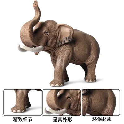 Азиатский Слон С Маленькими Ушами 6 — стоковые фотографии и другие картинки  Африканский слон - Африканский слон, Бивень, Большой - iStock