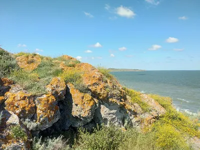 Картинки Азовского моря (88 фото)