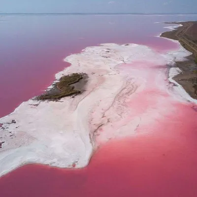 Отдых на Арабатской Стрелке: море и пляжи, отели, достопримечательности и  развлечения | Gorsovet