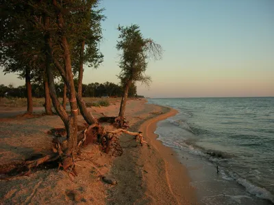 Долгая коса, Должанская: лучшие советы перед посещением - Tripadvisor