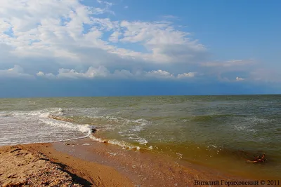 Азовское море, станица Должанская | www.wlphoto.ru