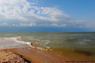 Азовское море, станица Должанская, коса Долгая.