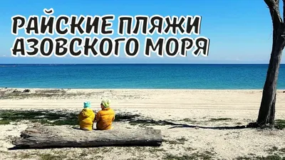 Азовское море пляж с ракушками - 68 фото