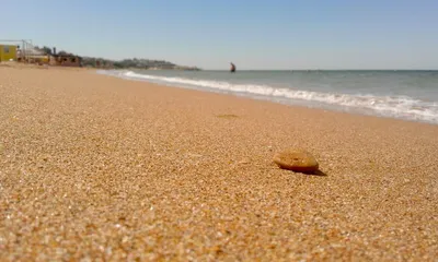 Отдых на Азовском море фото, описание