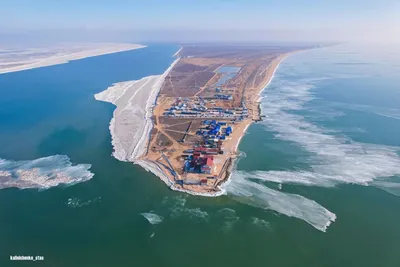 Ученые объяснили, чем опасен «красный прилив» в Азовском море - «Экология  России»