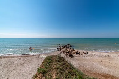 Азовское море теперь без медуз: Бирючий остров сегодня - Інтернет-видання  «Дніпро.Головне»