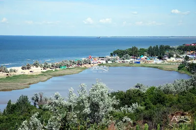 Лотосы и Азовское море