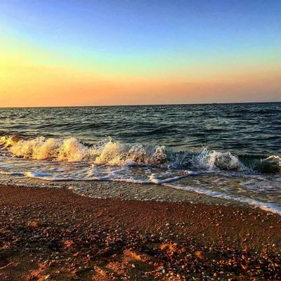 Отдых - ГОЛУБИЦКАЯ, Азовское море