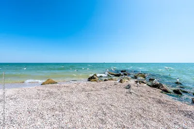 Азовское море кирилловка фото фото