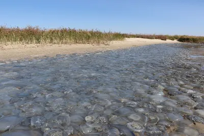 Россия заблокировала украинские порты в Азовском море | НашКиїв.UA