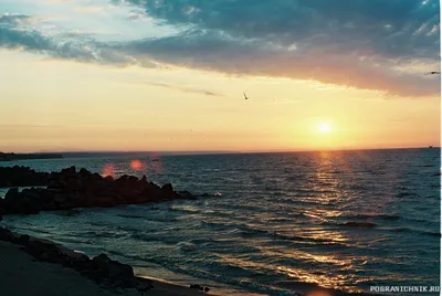 Седово Азовское море (71 фото) »