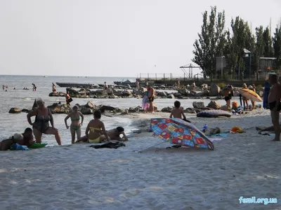 Полтысячи объектов на морском побережье ДНР готовы принять отдыхающих –  глава района - Общество - ДАН
