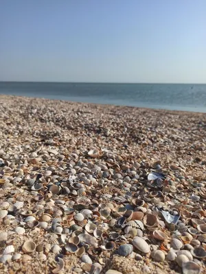 Отдых на Азовском море, Ейск, Должанская или Голубицкая