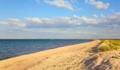 Из Крыма на Должанку. Должанская коса. Станица Должанская, Азовское море.  Отдых в гостевом доме и кемпинг на берегу моря. Ростовский пляж. | Наш  балаган | Дзен