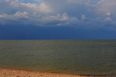 Азовское море, Коса Долгая, станица Должанская :: Нина Прокофьева –  Социальная сеть ФотоКто