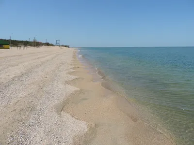 Отдых на Азовском море, Ейск, Должанская или Голубицкая