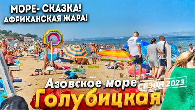 Аквапарк Морской риф, Станица Голубицкая, Краснодарский край - «Если вы  будете в Голубицкой с детьми, то не проходите мимо. И да скидка есть на всю  семью. » | отзывы