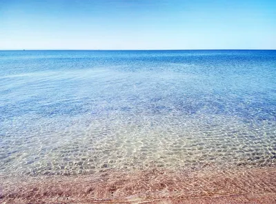Азовское море без медуз: Счастливцево, Стрелковое и Урзуф
