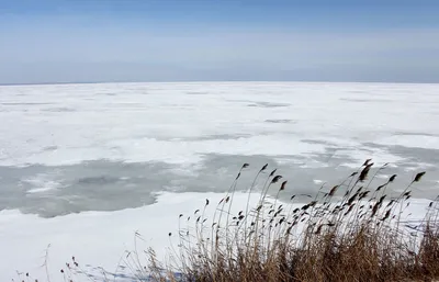 Замёрзло Азовское Море! Прекрасные пейзажи пляжа зимой. #AzovSeaFrozen