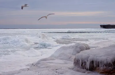 Как вам Азовское море зимой?😻❄️ #должанская #должанскаякоса#красотапр... |  TikTok