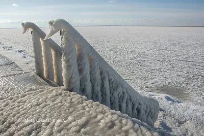 В Керчи замерзло море | Лагуна, Курортное