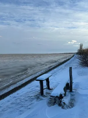 Станица Голубицкая/отдых на Азовском море зимой/Новый год | в пути Ольга  Рай | Дзен