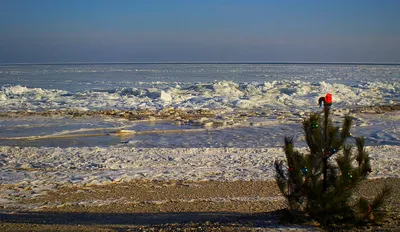 Замёрзло Азовское Море! Прекрасные пейзажи пляжа зимой. #AzovSeaFrozen