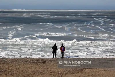 Азовское море «выплюнуло» глыбы льда на берег в Ейске - KP.RU