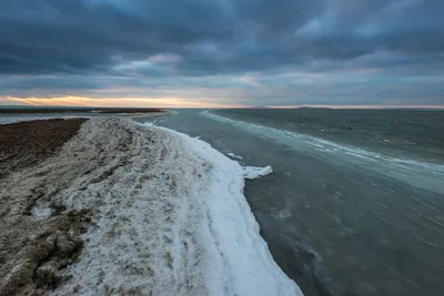 Азовское море: где находится, описание, история