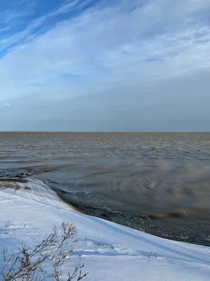 В соцсетях появились фотографии замерзшего Азовского моря - KP.RU