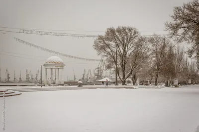 Фотогалерея Зима в Кучугурах в Кучугуры | Фото на сайте Azur.ru