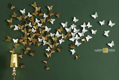 Бабочки на стене фото фото