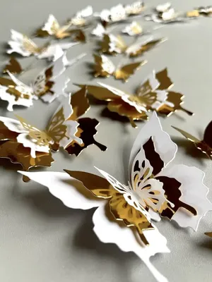 3D бабочки для декора 12 шт, ажурные наклейки - бабочки на стену, бабо: 70  грн. - Интерьерные аксессуары Херсон на BON.ua 93246508
