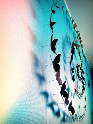 Декор бабочками на стене: делаем своими руками | ivd.ru