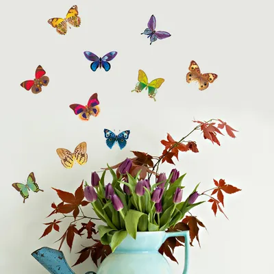 тропические бабочки изолированные на белизне Стоковое Изображение -  изображение насчитывающей красно, крыла: 149063051