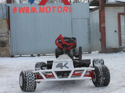 Купить Багги Ranger RZR 170 MAXI LONG - Цена на Ranger RZR 170 MAXI LONG в  Украине - Агротехника